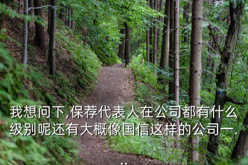 我想問下,保薦代表人在公司都有什么級(jí)別呢還有大概像國信這樣的公司一...