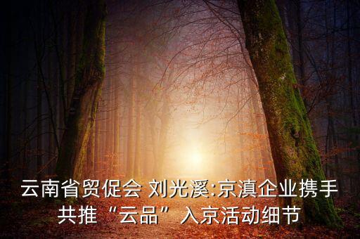 云南省貿(mào)促會 劉光溪:京滇企業(yè)攜手共推“云品”入京活動細(xì)節(jié)