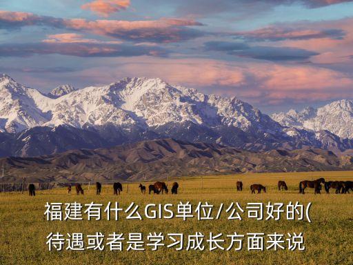  福建有什么GIS單位/公司好的(待遇或者是學習成長方面來說