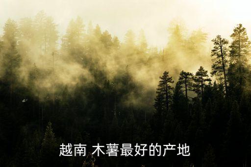 越南 木薯最好的產地