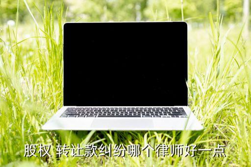 股權(quán) 轉(zhuǎn)讓款糾紛哪個律師好一點