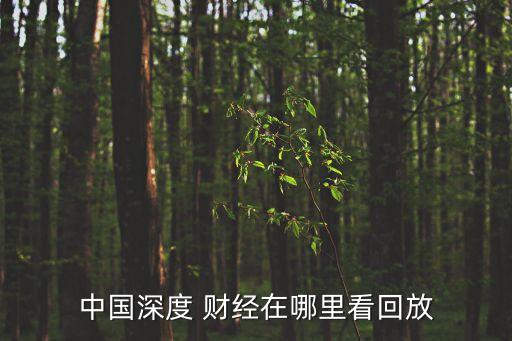 財(cái)經(jīng)中國會(huì),世界沒有中國會(huì)怎樣