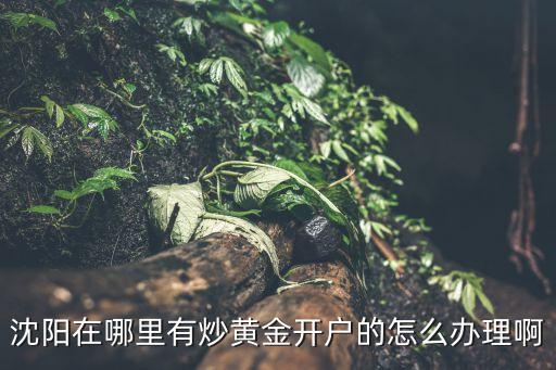 沈陽(yáng)在哪里有炒黃金開戶的怎么辦理啊