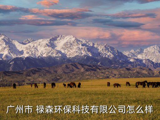 廣州市 祿森環(huán)?？萍加邢薰驹趺礃? class=