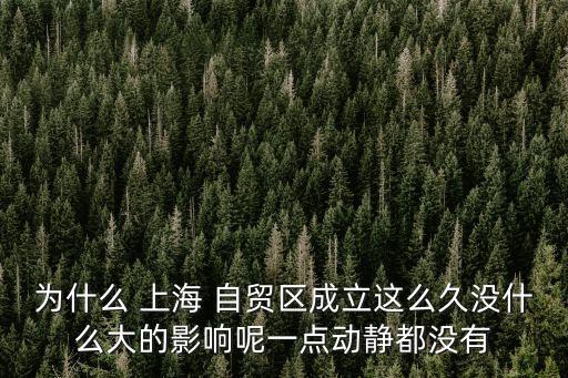 為什么 上海 自貿(mào)區(qū)成立這么久沒什么大的影響呢一點(diǎn)動靜都沒有