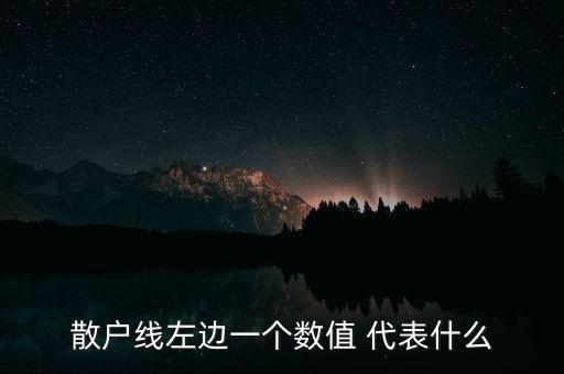 散戶線左邊一個數值 代表什么