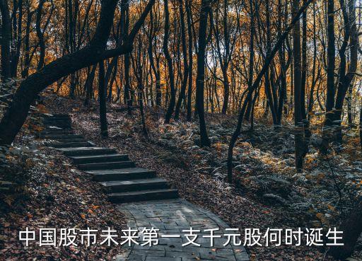 中國(guó)股市未來第一支千元股何時(shí)誕生