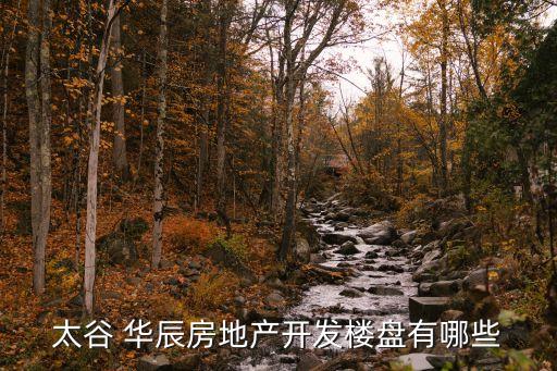 寧夏華辰投資有限公司,昆明華辰投資有限公司董事長(zhǎng)兒子