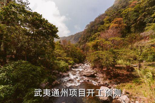 中國(guó)武夷通州項(xiàng)目開(kāi)工預(yù)測(cè)