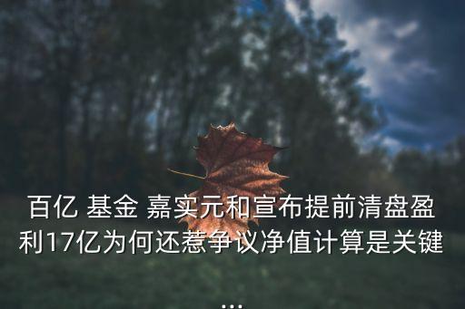 百億 基金 嘉實(shí)元和宣布提前清盤盈利17億為何還惹爭議凈值計算是關(guān)鍵...