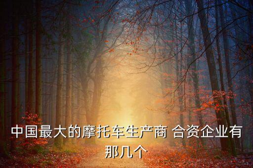 中國最大的摩托車生產商 合資企業(yè)有那幾個