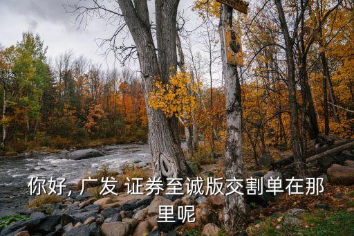 深圳廣發(fā)證券股份有限公司,廣發(fā)證券股份有限公司是國企嗎