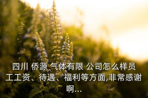 四川 僑源 氣體有限 公司怎么樣員工工資、待遇、福利等方面,非常感謝啊...