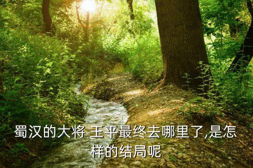 蜀漢的大將 王平最終去哪里了,是怎樣的結局呢