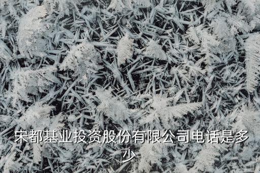  宋都基業(yè)投資股份有限公司電話(huà)是多少