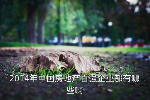 2014年中國房地產(chǎn)百強企業(yè)都有哪些啊