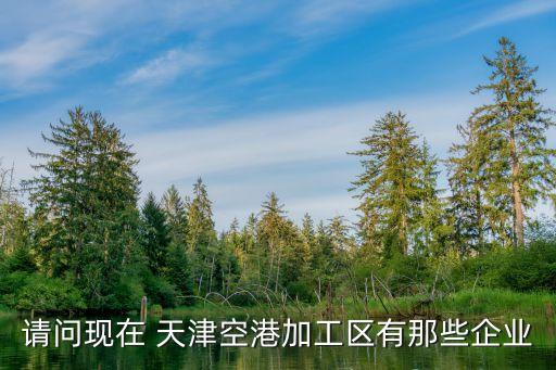 請問現(xiàn)在 天津空港加工區(qū)有那些企業(yè)