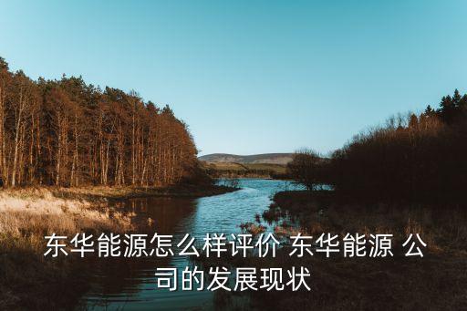  東華能源怎么樣評價(jià) 東華能源 公司的發(fā)展現(xiàn)狀