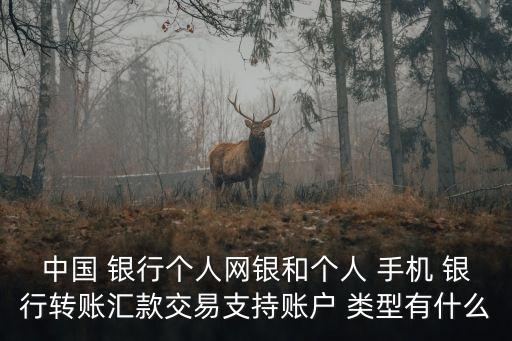 中國 銀行個人網(wǎng)銀和個人 手機 銀行轉賬匯款交易支持賬戶 類型有什么
