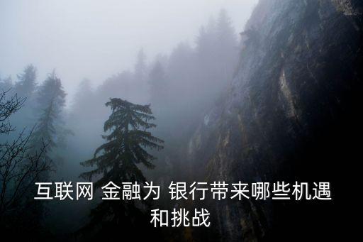  互聯網 金融為 銀行帶來哪些機遇和挑戰(zhàn)