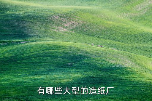 有哪些大型的造紙廠(chǎng)