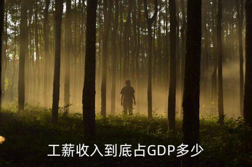中國(guó)工資總額占gdp比例,工資總額占gdp比例說(shuō)明什么