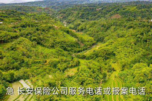 急 長(zhǎng)安保險(xiǎn)公司服務(wù)電話(huà)或報(bào)案電話(huà)