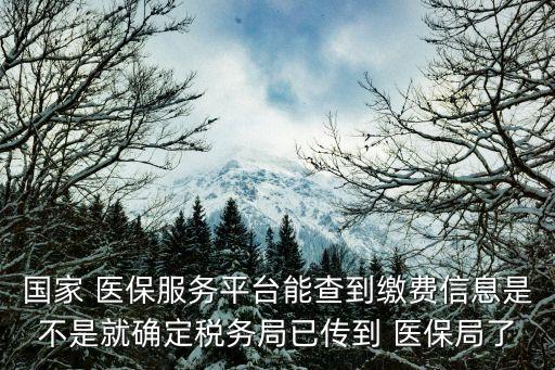 國家 醫(yī)保服務(wù)平臺(tái)能查到繳費(fèi)信息是不是就確定稅務(wù)局已傳到 醫(yī)保局了