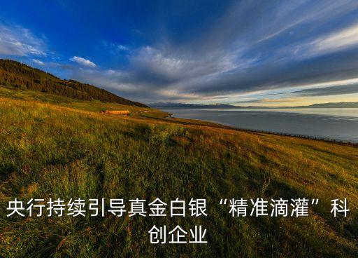 央行持續(xù)引導(dǎo)真金白銀“精準滴灌”科創(chuàng)企業(yè)