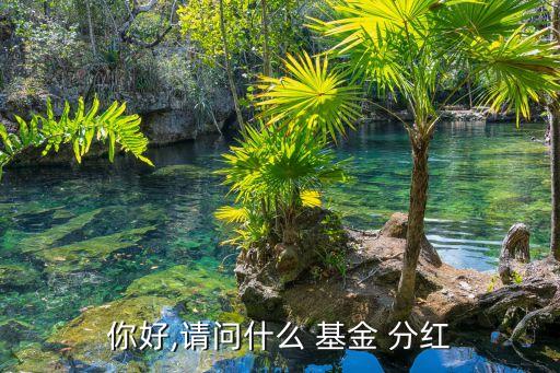 你好,請(qǐng)問什么 基金 分紅
