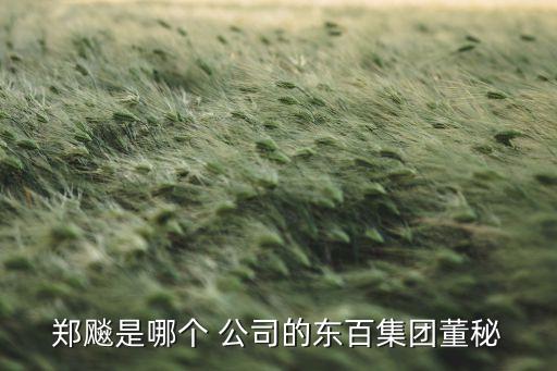 鄭飚是哪個(gè) 公司的東百集團(tuán)董秘