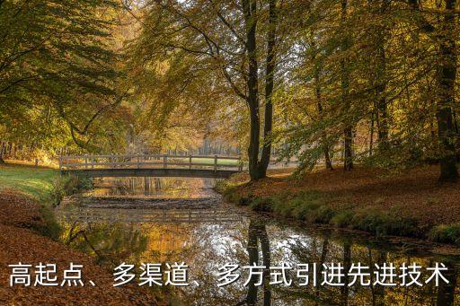高起點、多渠道、多方式引進先進技術(shù)