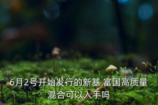 6月2號(hào)開(kāi)始發(fā)行的新基 富國(guó)高質(zhì)量混合可以入手嗎