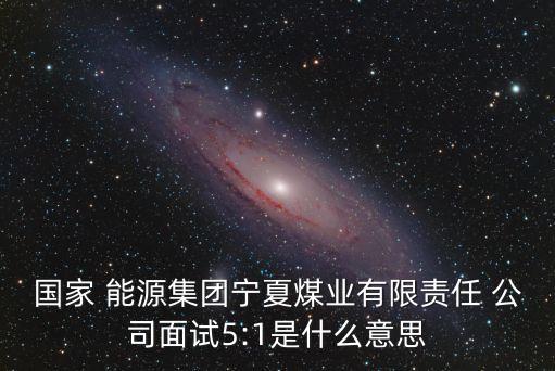 國家 能源集團寧夏煤業(yè)有限責(zé)任 公司面試5:1是什么意思