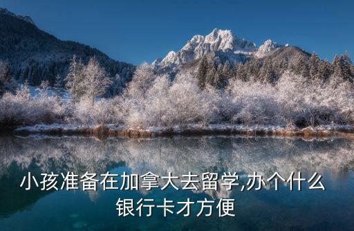 小孩準(zhǔn)備在加拿大去留學(xué),辦個什么 銀行卡才方便