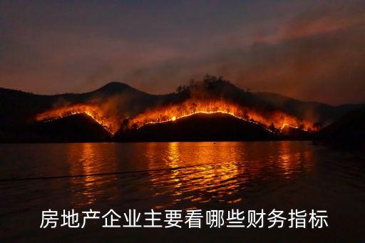  房地產(chǎn)企業(yè)主要看哪些財務(wù)指標(biāo)