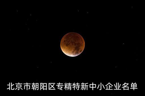 北京市朝陽(yáng)區(qū)專精特新中小企業(yè)名單