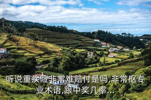 聽說重疾險非常難賠付是嗎,非常摳專業(yè)術語,跟中獎幾率...