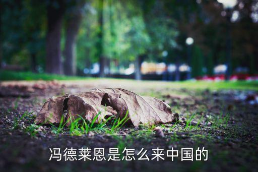 馮德萊恩是怎么來(lái)中國(guó)的