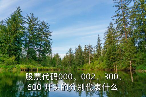  股票代碼000、002、300、600 開頭的分別代表什么