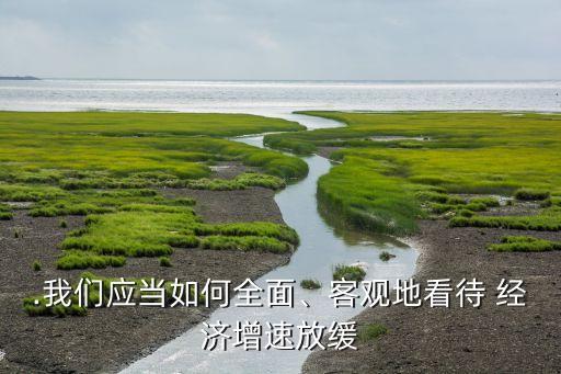 .我們應(yīng)當(dāng)如何全面、客觀地看待 經(jīng)濟(jì)增速放緩