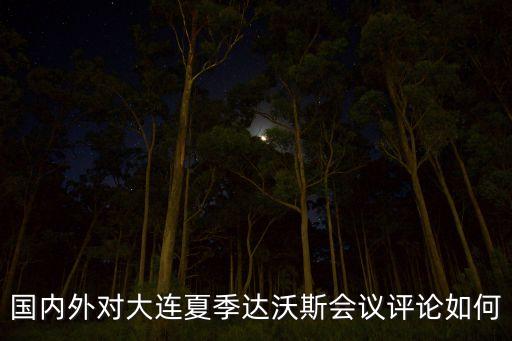國內(nèi)外對大連夏季達(dá)沃斯會(huì)議評論如何