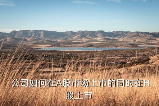  公司如何在A股市場(chǎng)上市的同時(shí)在H股上市