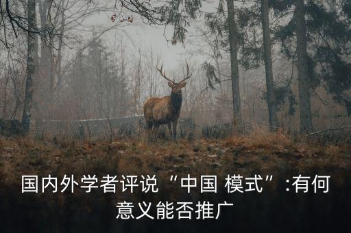 國內(nèi)外學(xué)者評(píng)說“中國 模式”:有何意義能否推廣