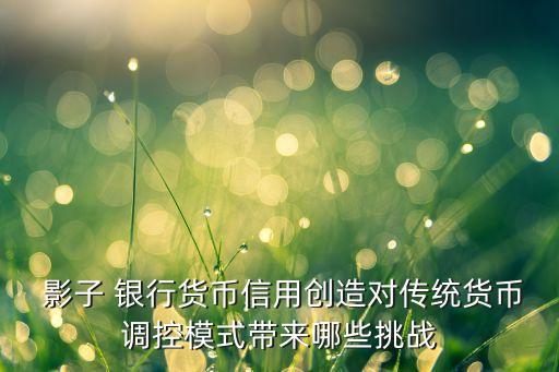  影子 銀行貨幣信用創(chuàng)造對(duì)傳統(tǒng)貨幣調(diào)控模式帶來哪些挑戰(zhàn)