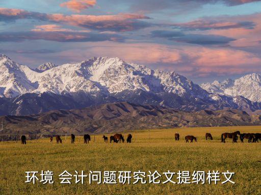 環(huán)境 會(huì)計(jì)問題研究論文提綱樣文