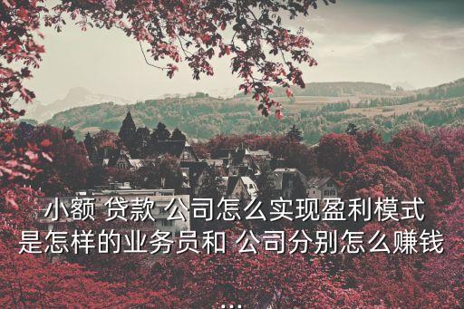  小額 貸款 公司怎么實(shí)現(xiàn)盈利模式是怎樣的業(yè)務(wù)員和 公司分別怎么賺錢...