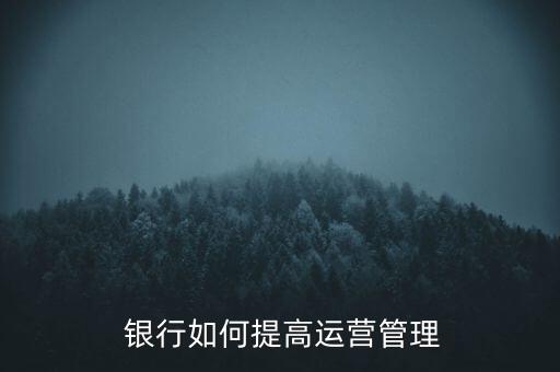  銀行如何提高運(yùn)營管理