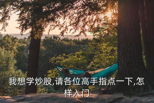 我想學(xué)炒股,請(qǐng)各位高手指點(diǎn)一下,怎樣入門(mén)