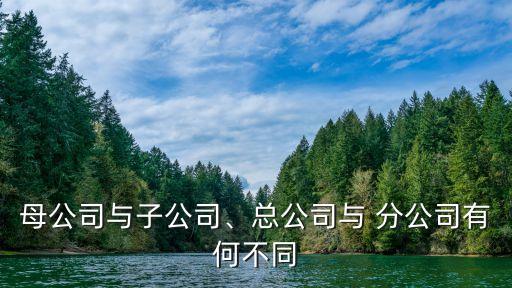 母公司與子公司、總公司與 分公司有何不同